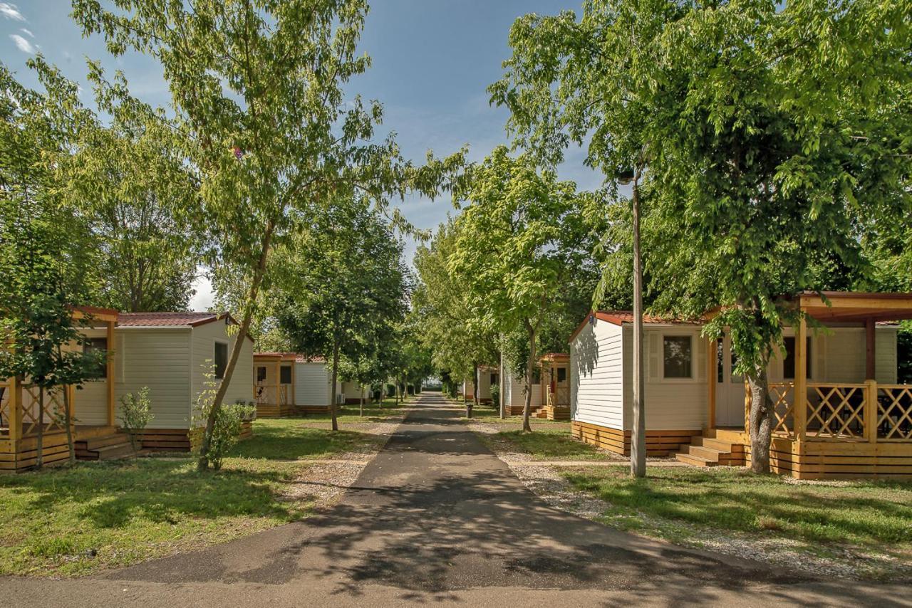 Hungarospa Thermal Camping Mobilhaz Hajdúszoboszló Екстериор снимка